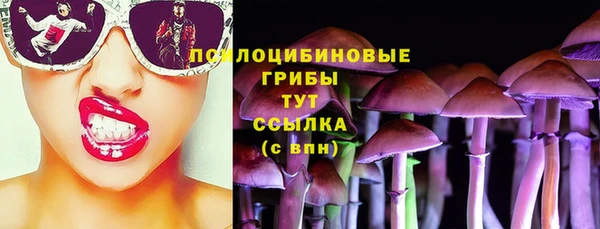 эйфоретик Бикин