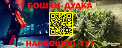 стаф Кандалакша