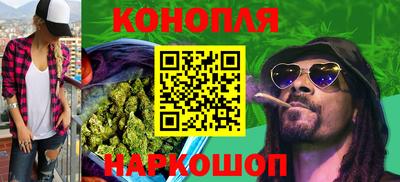 стаф Кандалакша