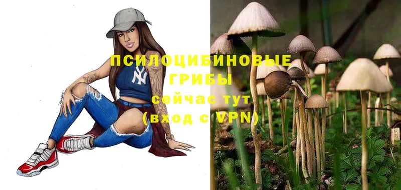 Псилоцибиновые грибы Magic Shrooms  наркошоп  Мыски 